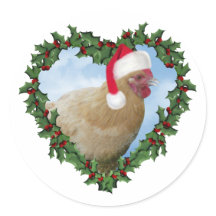 Kerstkip * Buff Orpington