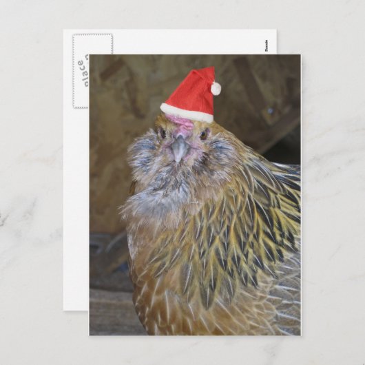 Kerstkip Feestdagenkaart (Voorkant / Achterkant)