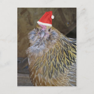 Kerstkip Feestdagenkaart