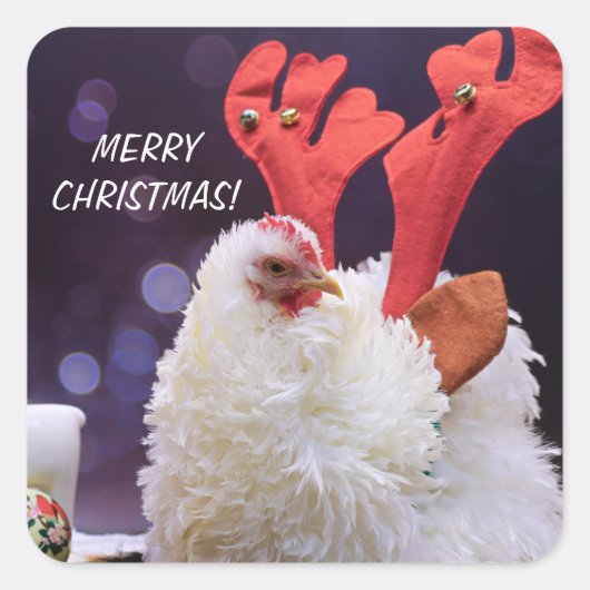 Kerstkip - GeFrizzled Cochin Bantam Pet Vierkante Sticker (Voorkant)