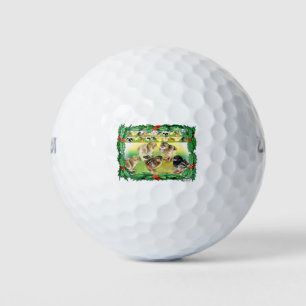 Kerstkip Golfballen