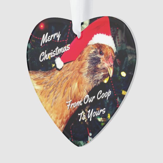 Kerstkip Ornament (voorkant)