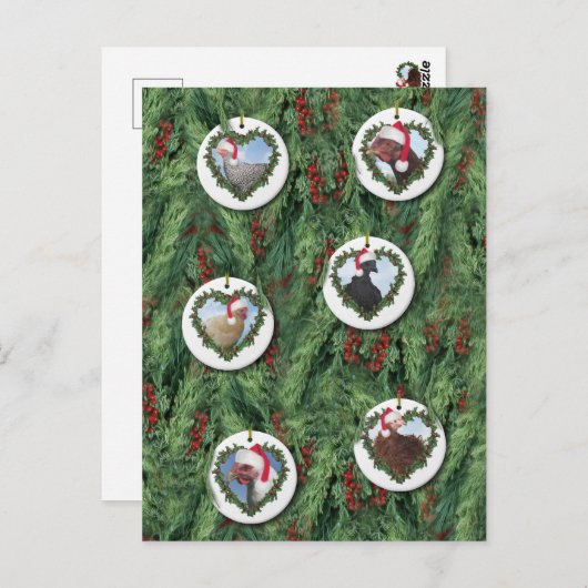 kerstkippen briefkaart (Voorkant / Achterkant)