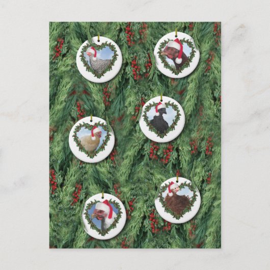 Kerstkippen Briefkaart (Voorkant)