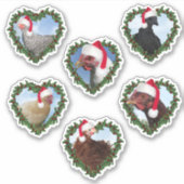 kerstkippen sticker (Voorkant)