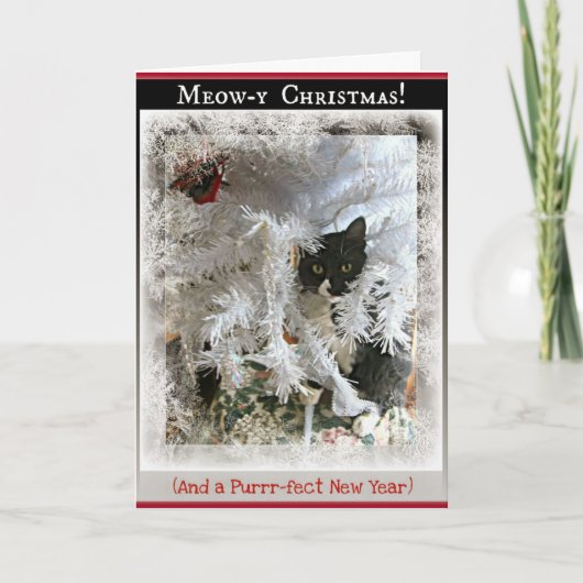 Kerstkitten Groeten van binnen de boom Feestdagen Kaart (Voorkant)
