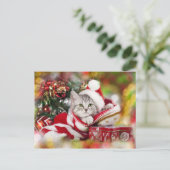 Kerstkitten met kerstmuts feestdagenkaart (Staand voorkant)