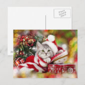 Kerstkitten met kerstmuts feestdagenkaart (Voorkant / Achterkant)