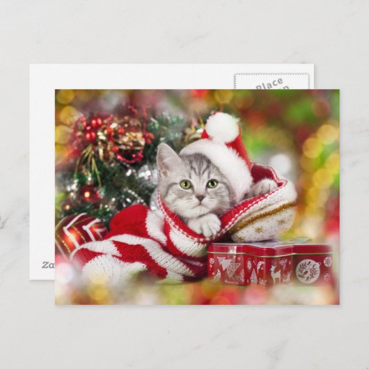 Kerstkitten met kerstmuts feestdagenkaart (Voorkant / Achterkant)