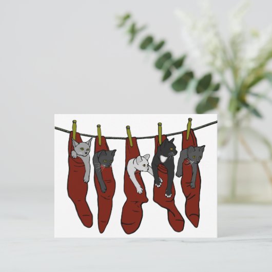 KerstKittens | Chatons de Nöel Briefkaart (Staand voorkant)