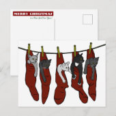 KerstKittens | Chatons de Nöel Briefkaart (Voorkant / Achterkant)