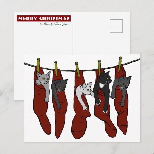 KerstKittens | Chatons de Nöel Briefkaart (Voorkant / Achterkant)