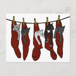 KerstKittens | Chatons de Nöel Briefkaart