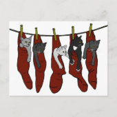 KerstKittens | Chatons de Nöel Briefkaart (Voorkant)