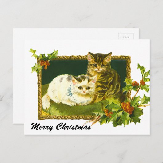 KerstKittens Feestdagenkaart (Voorkant / Achterkant)