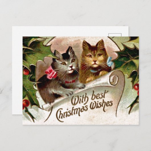 kerstkittens, illustratie, briefkaart (Voorkant / Achterkant)