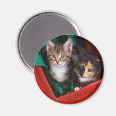 KerstKittens Magneet (Voorkant / Achterkant)