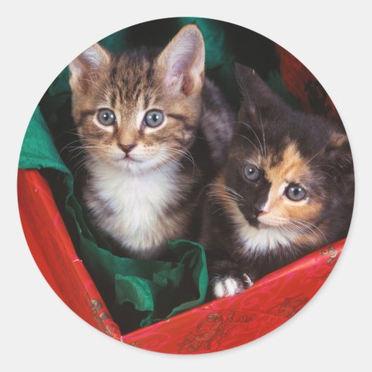 KerstKittens Ronde Sticker (Voorkant)