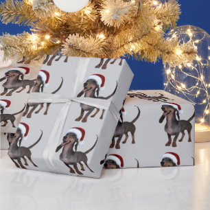 Kerstklaar Dachshund Worst Hond Met Kerstman Hoed Cadeaupapier