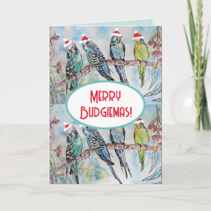 Kerstknuffel Budgie Waterverf Schilderij Vogel Kaart