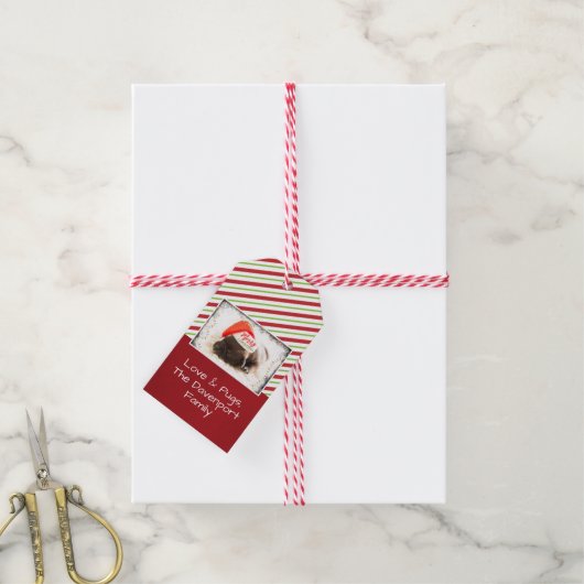 Kerstknuppel in Santa Hat met kerstlampjes Cadeaulabel (Met Touw)