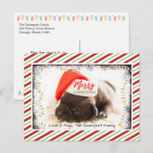 Kerstknuppel in Santa Hat met kerstlampjes Feestdagenkaart (Voorkant / Achterkant)