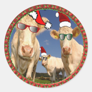 kerstkoeien met bril op en rode kerstmanhoeden ronde sticker
