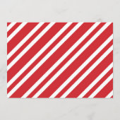 Kerstkoekje versieren feestdag verjaardag programmakaart (Achterkant)