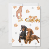 kerstkoekjes Dachshund Puppies Dog Feestdagenkaart (Voorkant)
