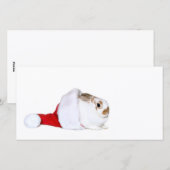Kerstkonijn Feestdagenkaart (Voorkant / Achterkant)