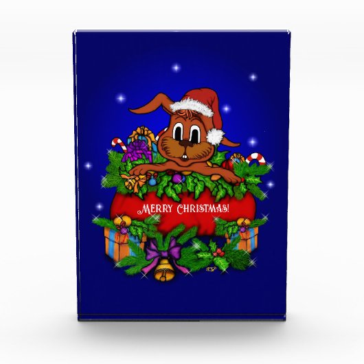 kerstkonijn fotoblokken (Voorkant)