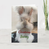 *KERSTKONIJN VOOR MIJN HONING FEESTDAGEN KAART (Voorkant)