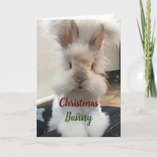 *KERSTKONIJN VOOR MIJN HONING FEESTDAGEN KAART (Voorkant)