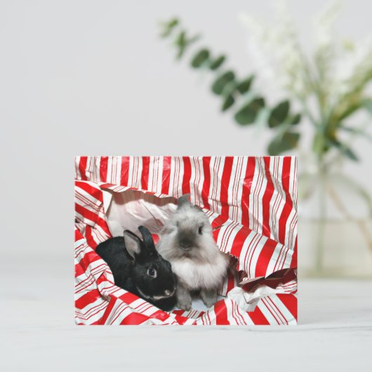 Kerstkonijntjes Feestdagenkaart (Staand voorkant)