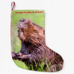 Kerstkous Mijn Oude Bever Kleine Kerstsok