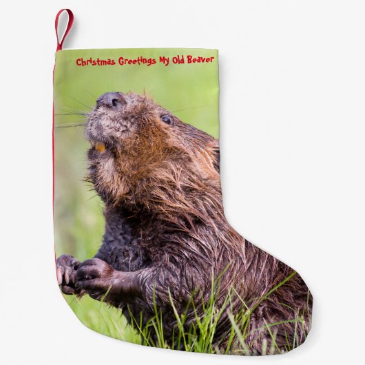 Kerstkous Mijn Oude Bever Kleine Kerstsok (Voorkant)