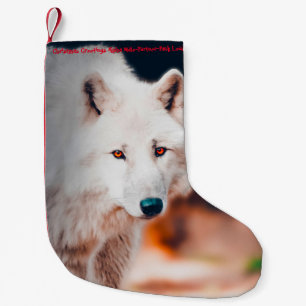 Kerstkous Mijn Oude Bever Kleine Kerstsok