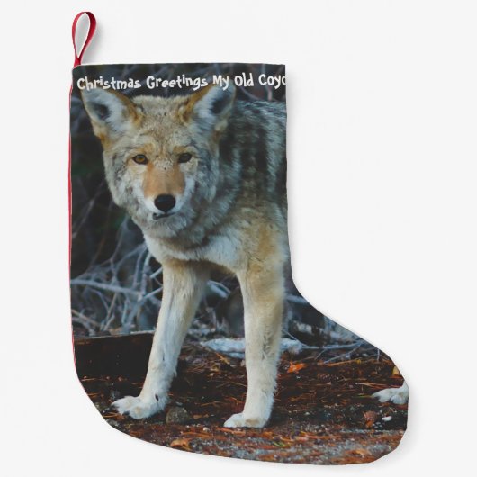 Kerstkous Mijn oude Coyote Kleine Kerstsok (Voorkant)