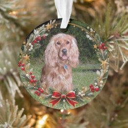 Kerstkrans Aangepaste Foto van Huisdier Ornament