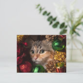 Kerstkrans Kat Postkaart Feestdagenkaart (Staand voorkant)