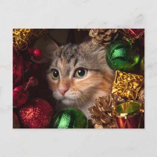 Kerstkrans Kat Postkaart Feestdagenkaart (Voorkant)