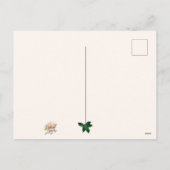 Kerstkrans met kardinalen Groet Briefkaart (Achterkant)