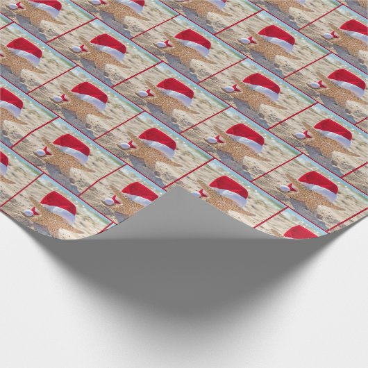 kerstkreeften in strand cadeaupapier (Hoek)