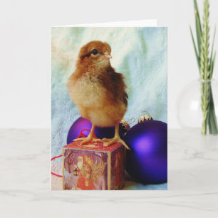 Kerstkuiken Feestdagen Kaart