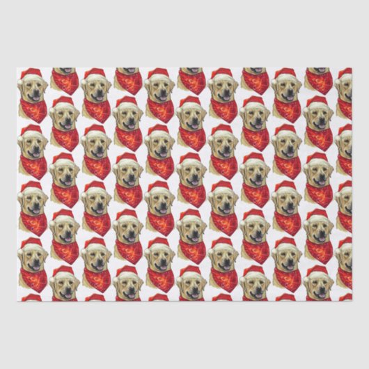 Kerstlabrador-hondenpakpapier Tissuepapier (Voorkant)