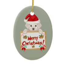 Kerstlabrador Puppy! Voor puppy Lovers.