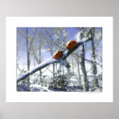 Kerstladyvogels Poster (Voorkant)