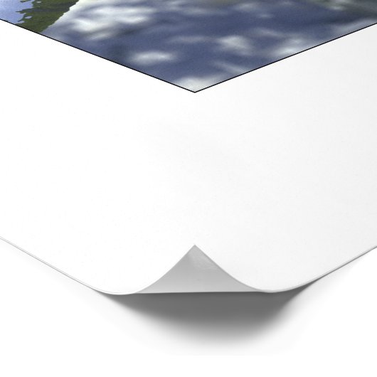 Kerstladyvogels Poster (Hoek)