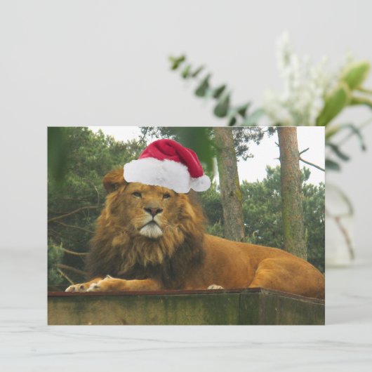 Kerstleeuw met Santa Hat Kaart (Staand voorkant)