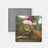 Kerstleeuw met Santa Hat Magneet (Voorkant / Achterkant)